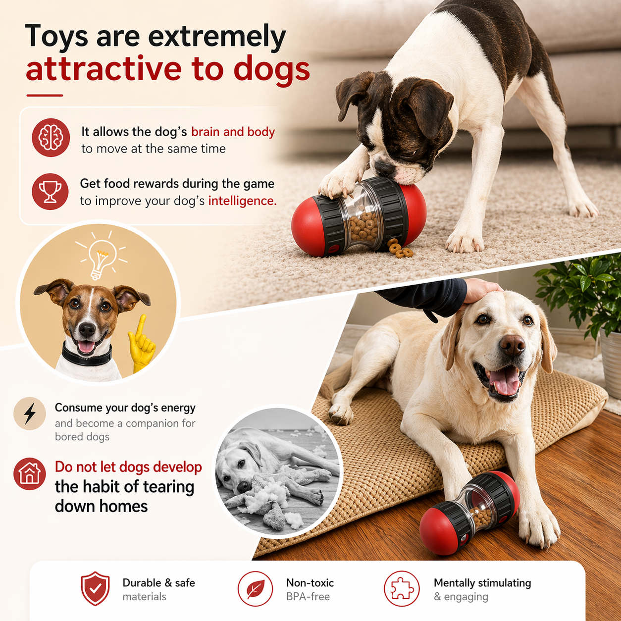 Balle distributrice de friandises intelligente pour chien – Jouet interactif et gamelle anti-glouton