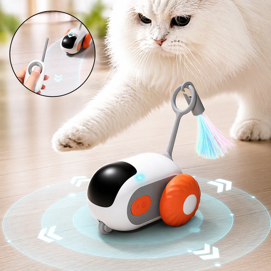 Voiture télécommandée et autonome pour chat – Jouet intelligent