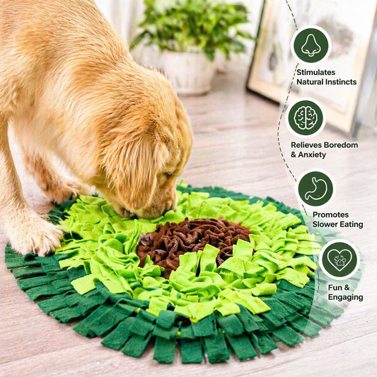 Tapis de fouille pour animaux de compagnie – Jouet interactif pour l'alimentation et l'éveil