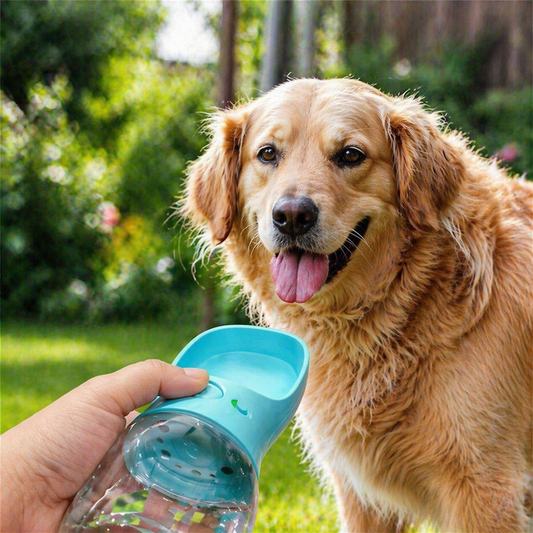 Bouteille d'eau portable pour chiens et chats