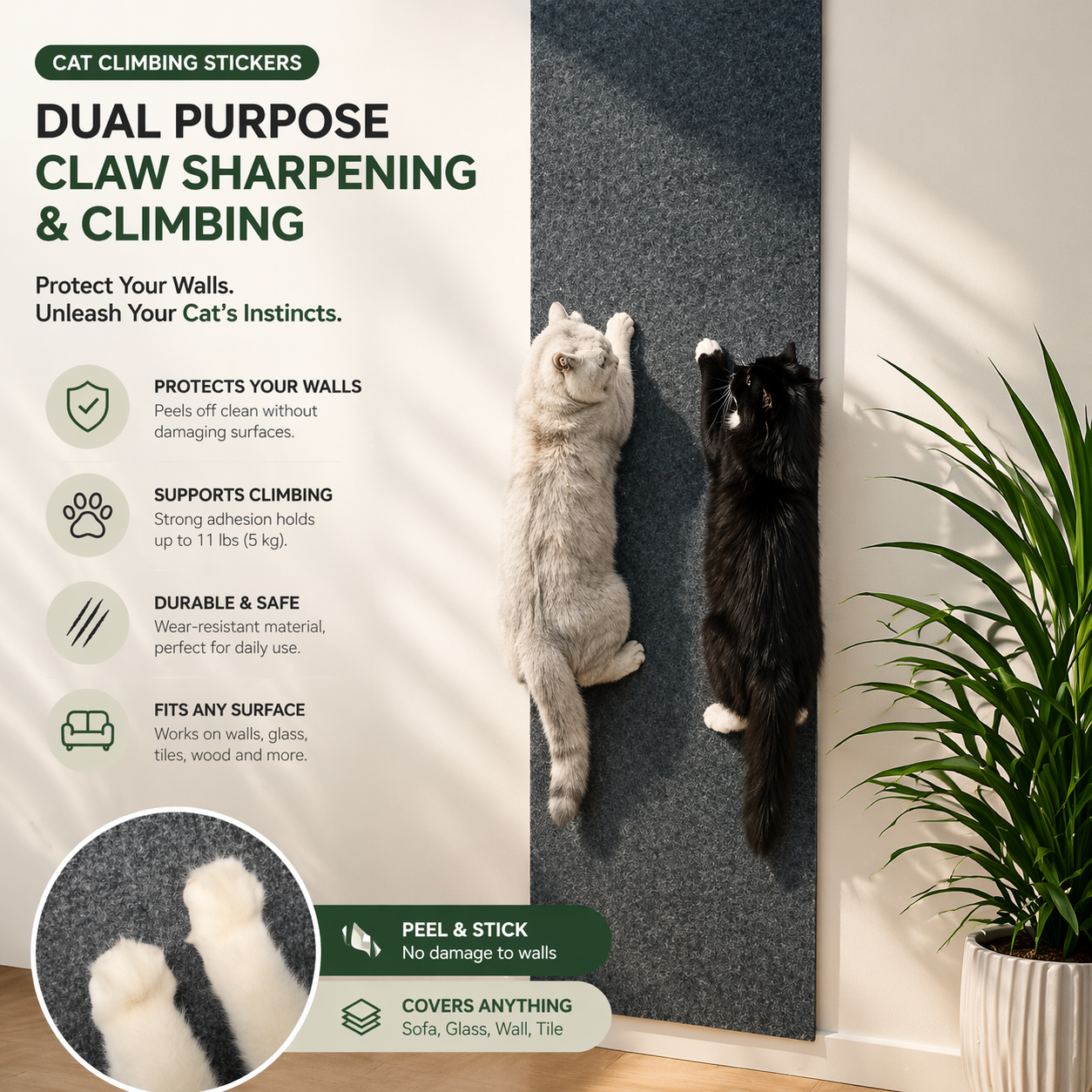Self-adhesive Scratching Pad