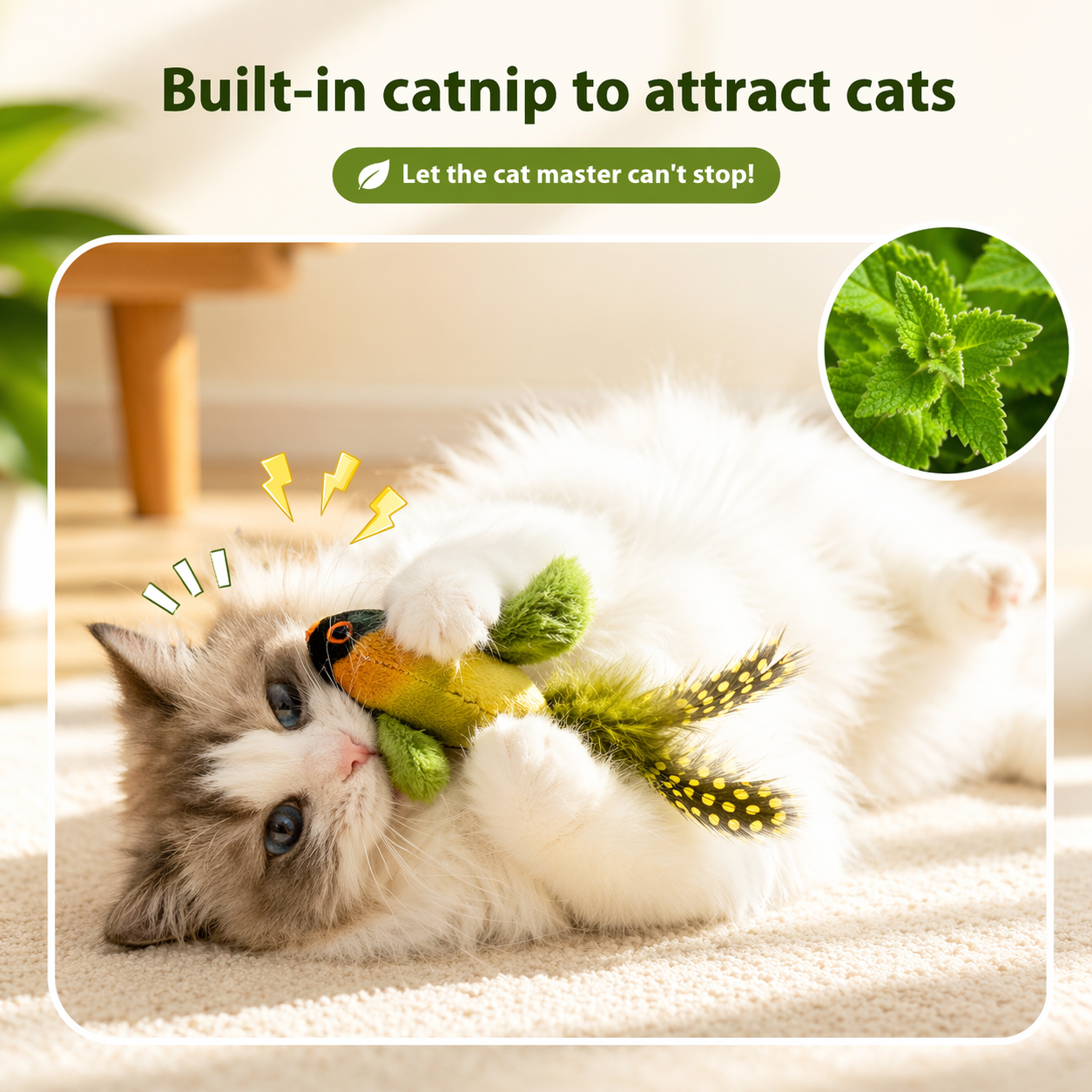 Bird Sound Cat Toy